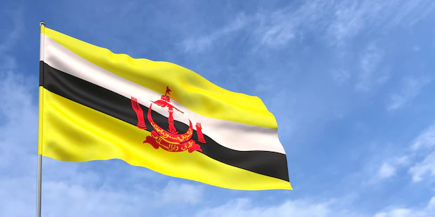 Brunei Flag